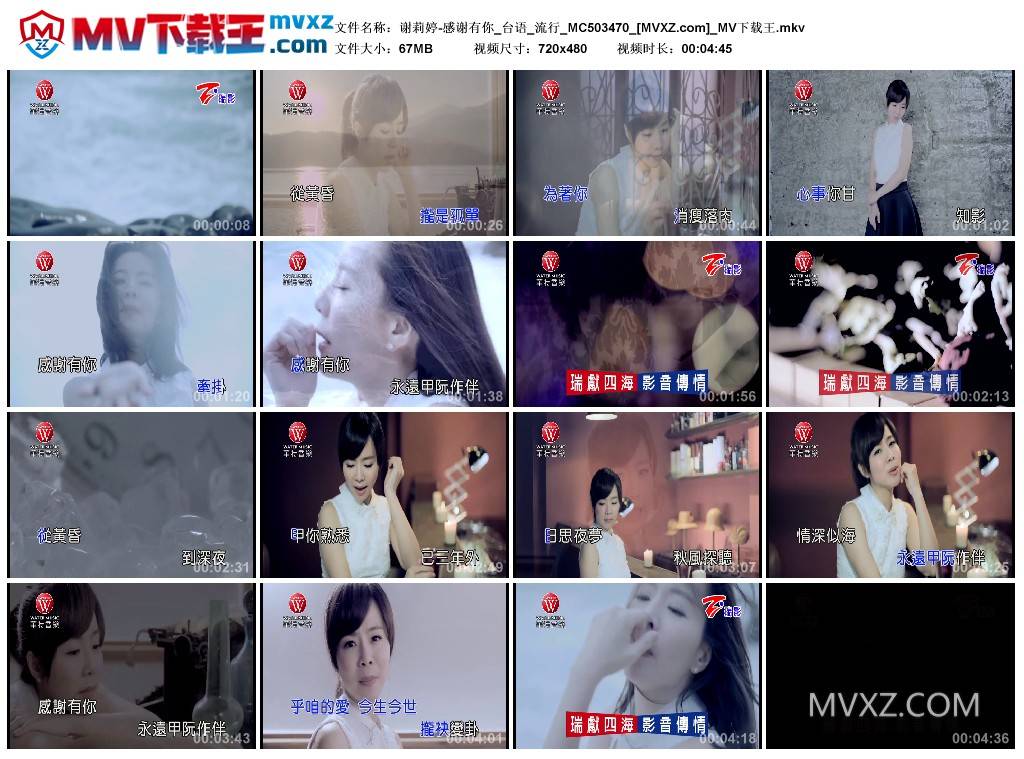 谢莉婷-感谢有你_台语_流行_MC503470